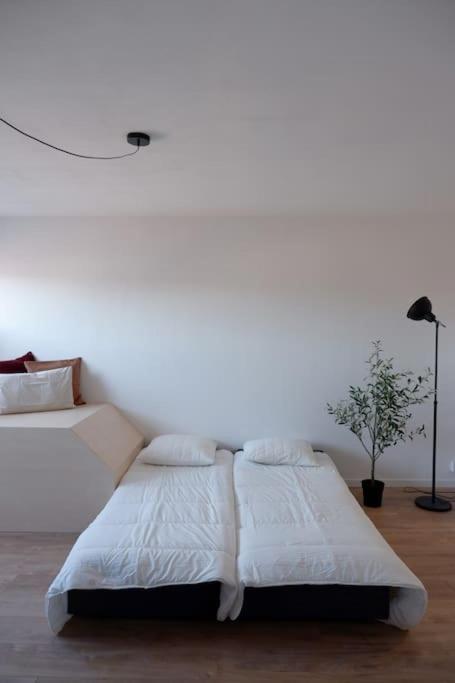 E Centre Ville Professeur Langevin Spacieux Cosy Épernay Extérieur photo